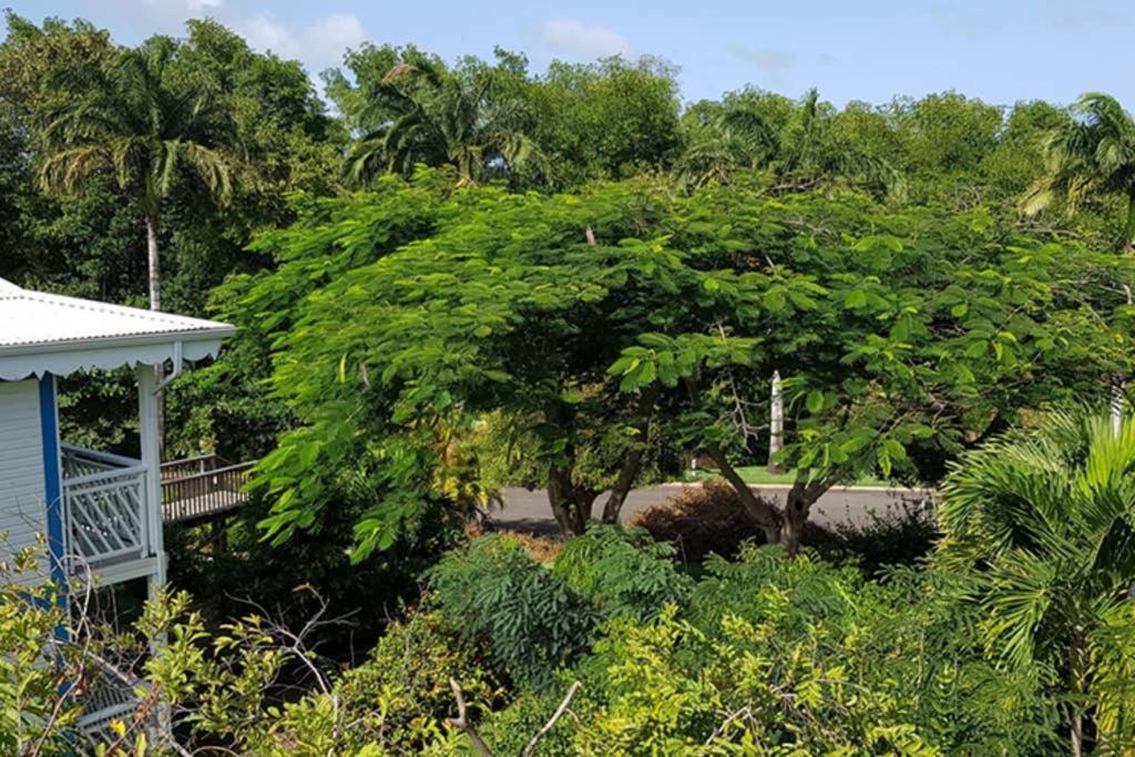 Paradisiac Lagoon サン・フランソワ エクステリア 写真